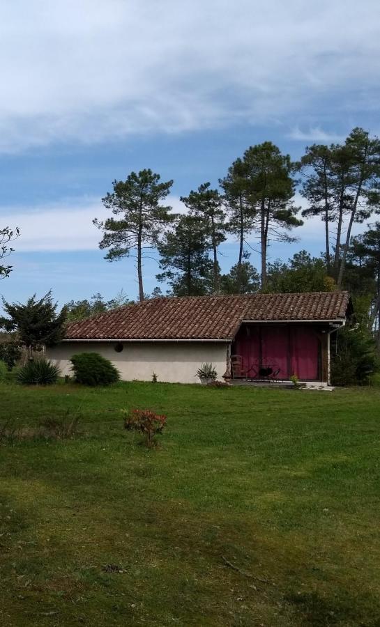 Maison Confortable Avec Terrasse En Bois Au Calme Sans Vis A Vis , 2 Chambres, Sur Un Parc De 4000M2 Arbore Et Clos Pissos Exteriör bild